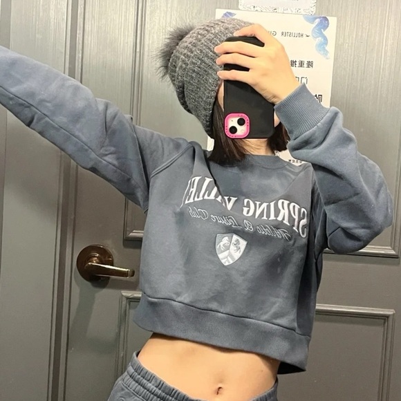 Spring Valley Gray Cropped Sweatshirt - Picture 2 of 7